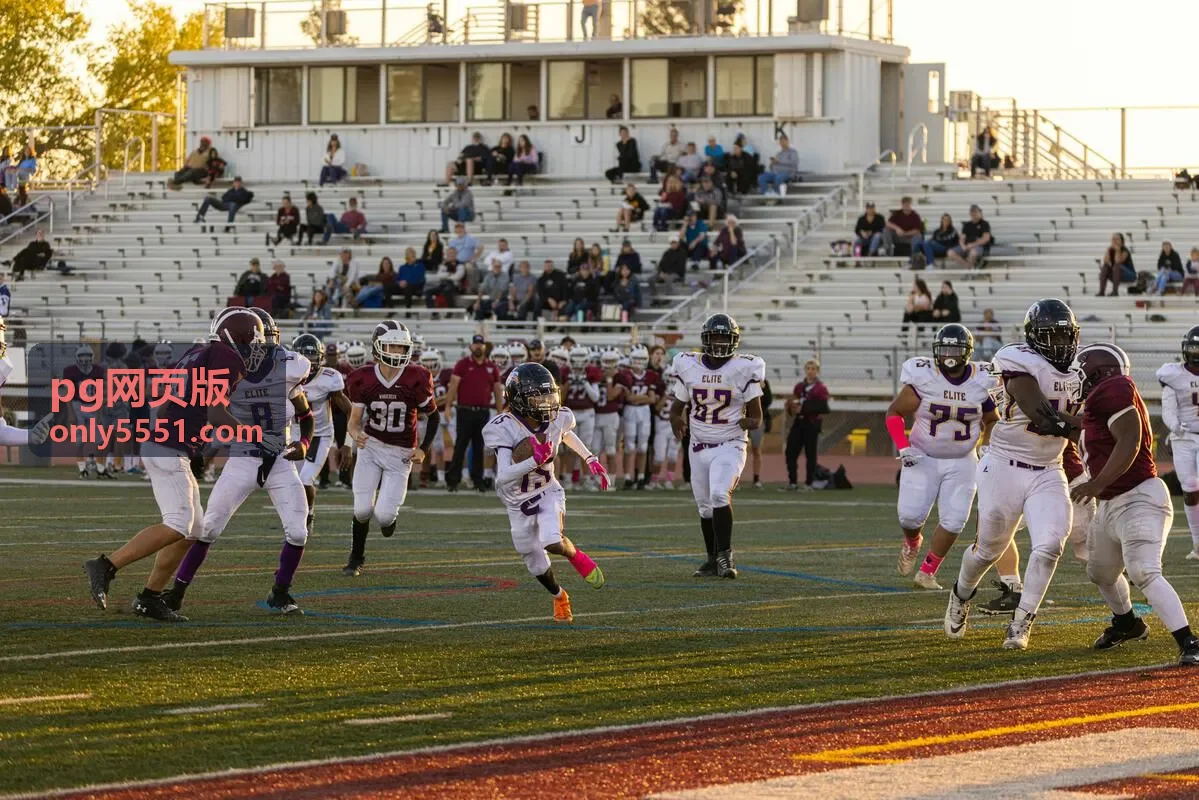 pg网页版最新信息配图