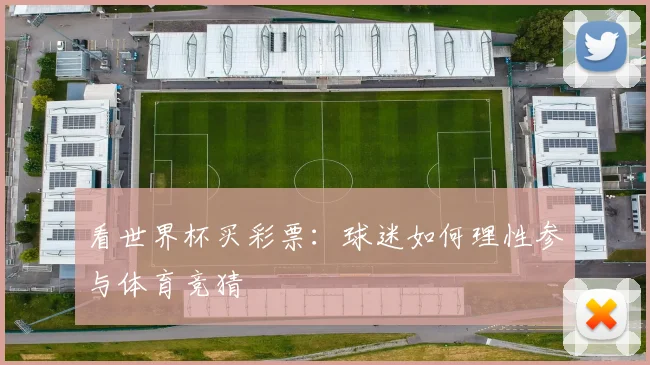 看世界杯买彩票：球迷如何理性参与体育竞猜