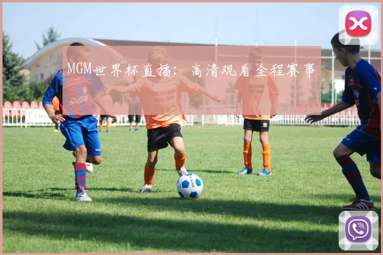 MGM世界杯直播：高清观看全程赛事